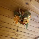 Alpehytte Au Seuil De La Foret 65m2 Nature &