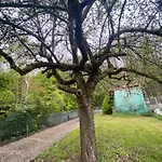Au Seuil De La Foret 65m2 Nature & Weinbourg