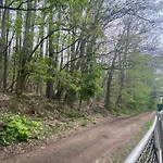 Alpehytte Au Seuil De La Foret 65m2 Nature & *