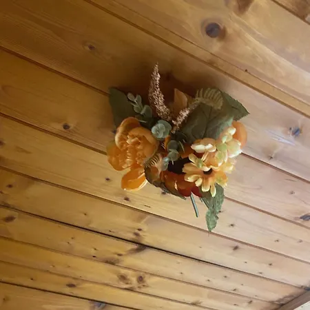 Chalet Au Seuil De La Foret 65m2 Nature &