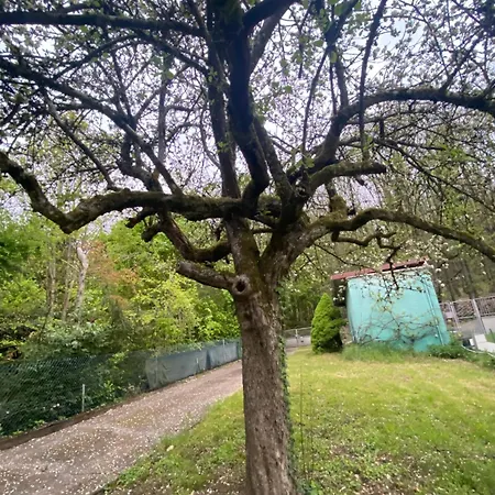 Au Seuil De La Foret Nature & Weinbourg