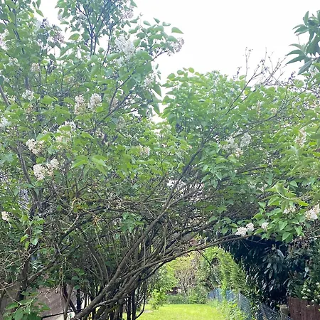 Au Seuil De La Foret 65m2 Nature & Σαλέ