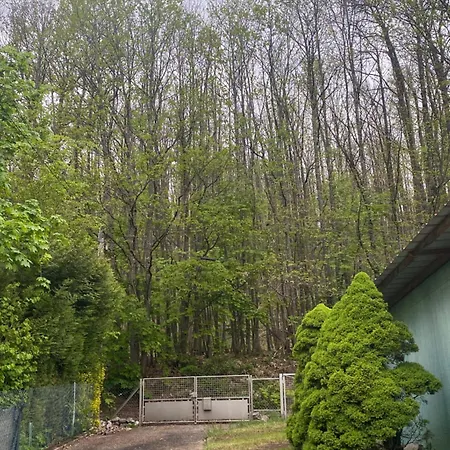 Au Seuil De La Foret Nature & Alpehytte Weinbourg