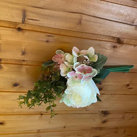 Au Seuil De La Foret 65m2 Nature & *