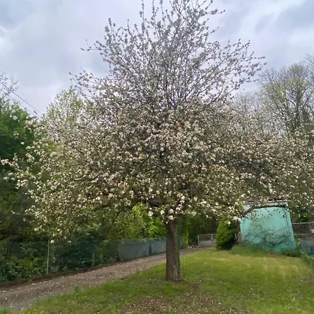 Σαλέ Au Seuil De La Foret 65m2 Nature &