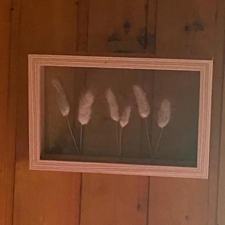 Σαλέ Au Seuil De La Foret 65m2 Nature & *