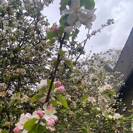 Au Seuil De La Foret 65m2 Nature & בקתה Weinbourg