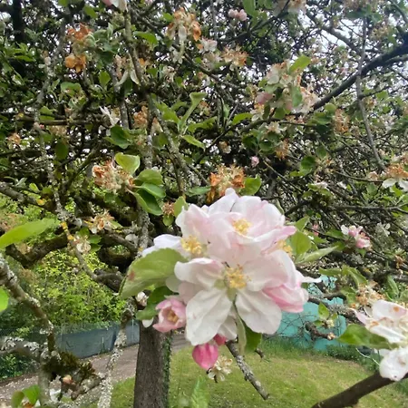 木屋 Au Seuil De La Foret 65m2 Nature & Weinbourg