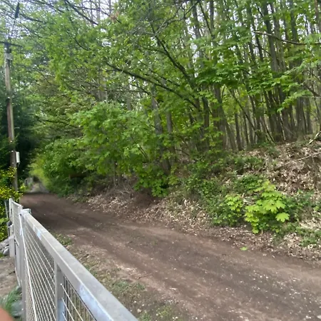 Au Seuil De La Foret 65m2 Nature & Chalet *