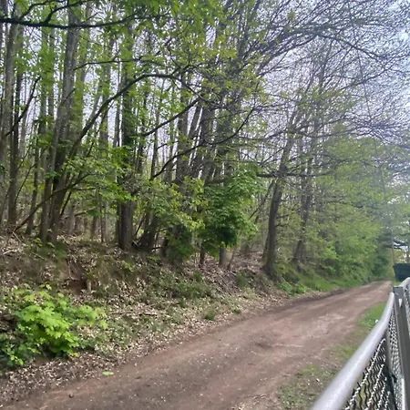 Σαλέ Au Seuil De La Foret 65m2 Nature & *