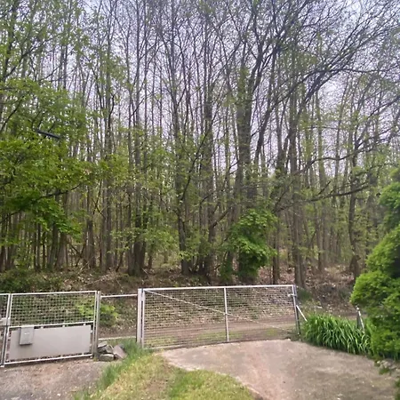 Au Seuil De La Foret Nature & Weinbourg