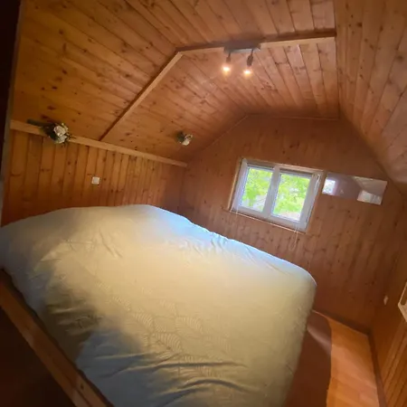 Au Seuil De La Foret Nature &