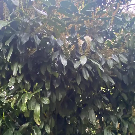 Au Seuil De La Foret 65m2 Nature & * Weinbourg