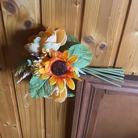 Au Seuil De La Foret 65m2 Nature &