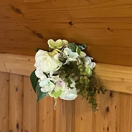 Au Seuil De La Foret 65m2 Nature & Weinbourg