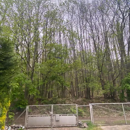 Au Seuil De La Foret 65m2 Nature & Chalet