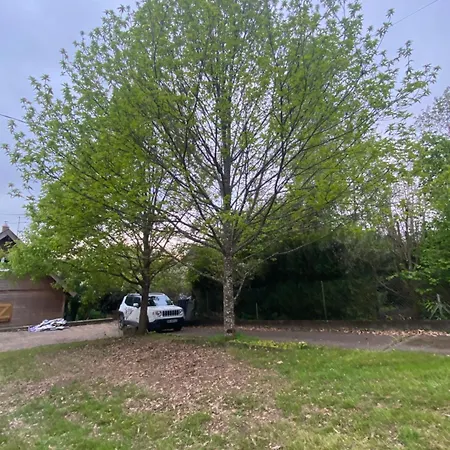 Au Seuil De La Foret 65m2 Nature & Σαλέ *