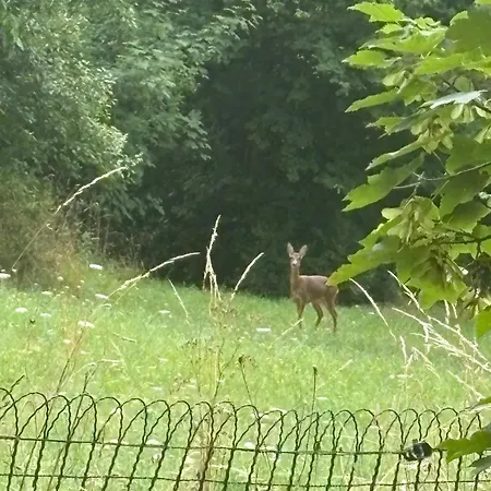 Au Seuil De La Foret 65m2 Nature & Weinbourg