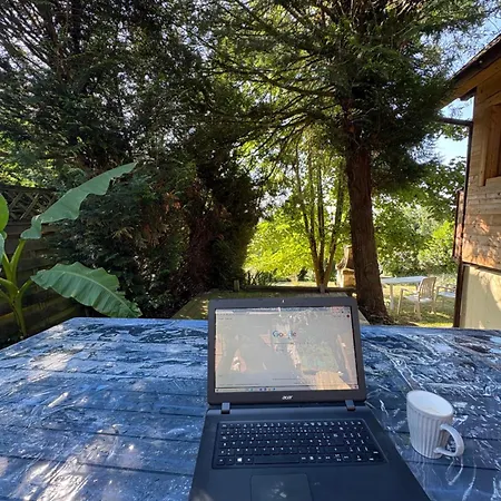 Au Seuil De La Foret 65m2 Nature & Chalet Weinbourg