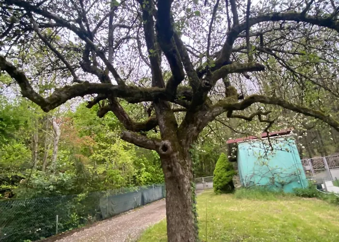 Au Seuil De La Foret 65m2 Nature & Weinbourg