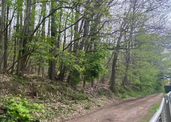 Horská chata Au Seuil De La Foret 65m2 Nature & *