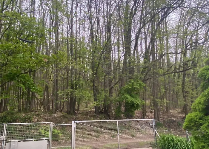 Au Seuil De La Foret 65m2 Nature & Weinbourg