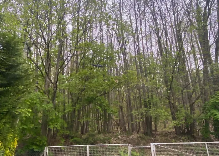 Au Seuil De La Foret 65m2 Nature & Horská chata